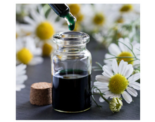 將圖片載入圖庫檢視器 Chamomile German Blue 德國藍洋甘菊