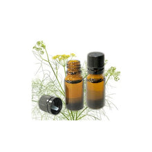 將圖片載入圖庫檢視器 Fennel Sweet 甜茴香