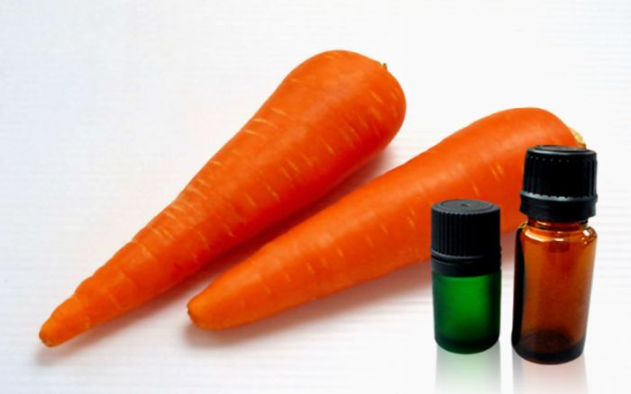 Carrot Seed 胡蘿蔔種子
